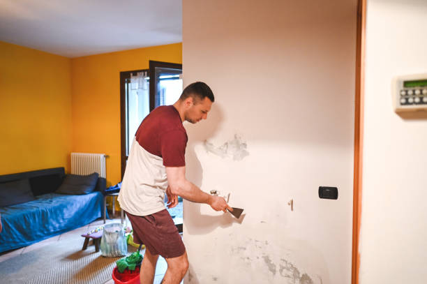 Best Home Mold Removal  in Brighton, IL